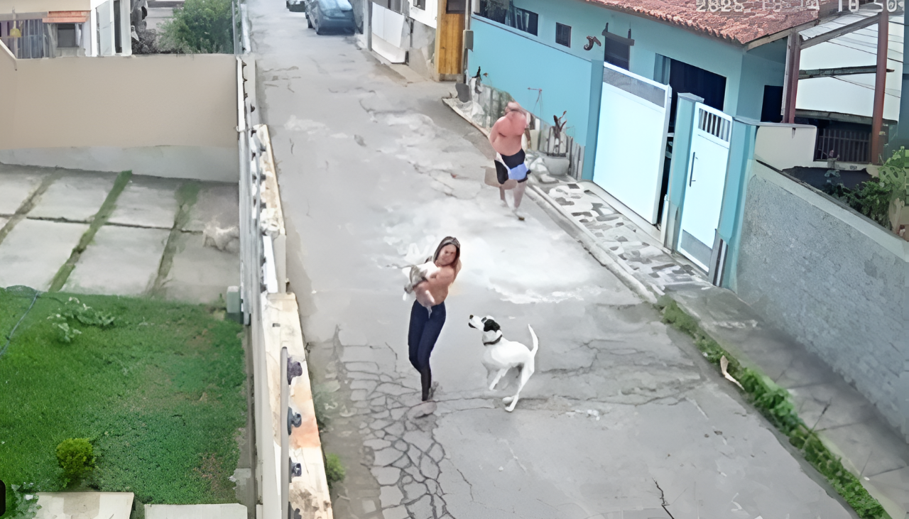 Imágenes fuertes: Perro ataca a una mujer, la tumba al piso y le muerde la cabeza  Imágenes fuertes: Perro ataca a una mujer, la tumba al piso y le muerde la cabeza