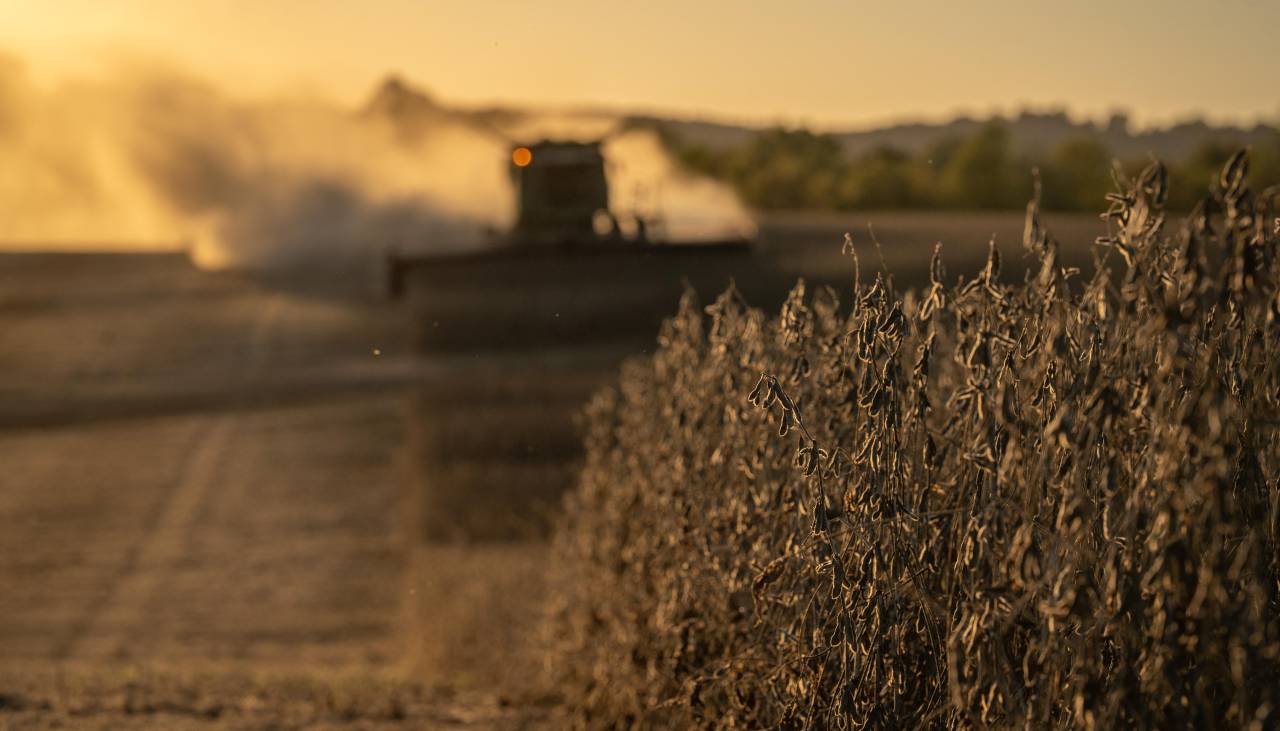 Anapo: Agro requiere 70 millones de litros de diésel hasta diciembre para la campaña de verano Anapo: Agro requiere 70 millones de litros de diésel hasta diciembre para la campaña de verano