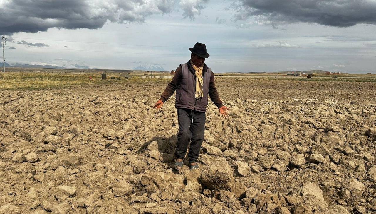 La Paz: Escasez de diésel paraliza la siembra de alimentos en 72 comunidades agrícolas de Laja La Paz: Escasez de diésel paraliza la siembra de alimentos en 72 comunidades agrícolas de Laja