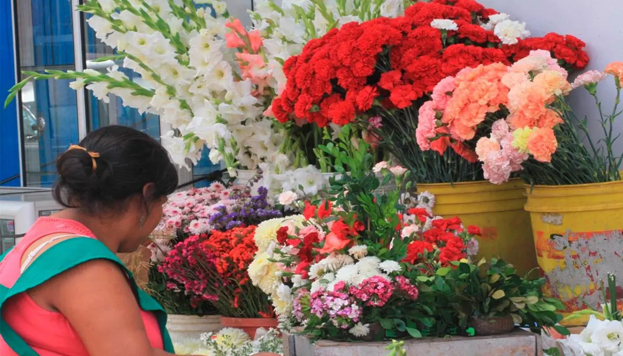 Todos Santos: sube el precio de las flores por la falta de combustible en La Paz, reportan comerciantes Todos Santos: sube el precio de las flores por la falta de combustible en La Paz, reportan comerciantes