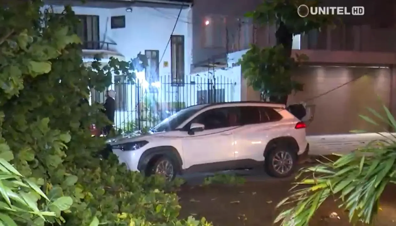 Ramas de un árbol caen sobre dos vehículos por la zona de Los Tusequis Ramas de un árbol caen sobre dos vehículos por la zona de Los Tusequis