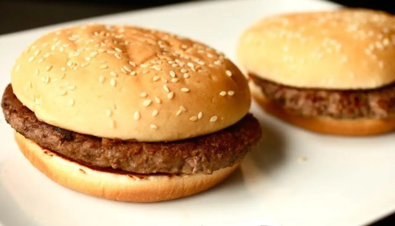 “Mi mejor Cliente”: Un perro paga con piedras las hamburguesas que come “Mi mejor Cliente”: Un perro paga con piedras las hamburguesas que come