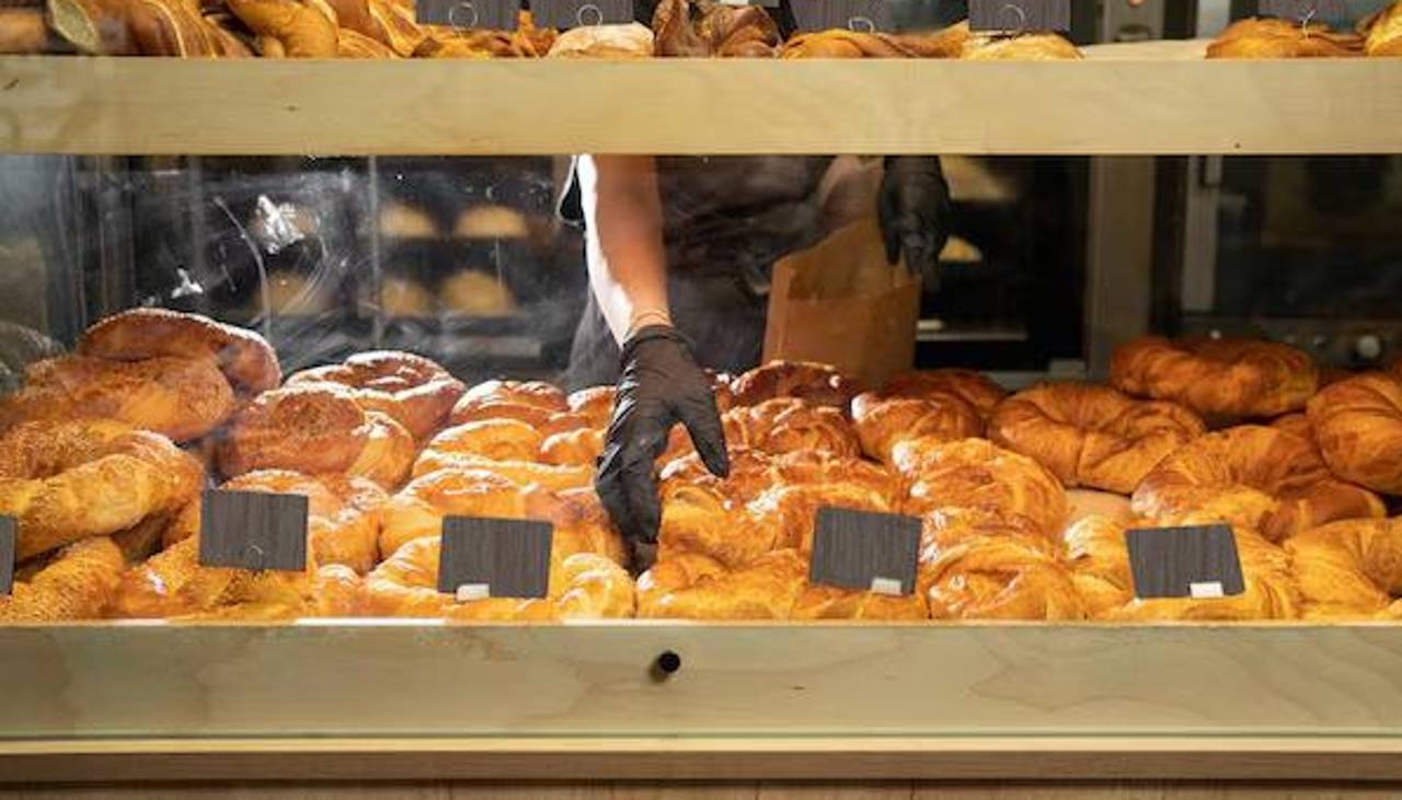 ¡Increíble! Una rata invade una panadería en pleno horario de atención y causa alarma entre los clientes ¡Increíble! Una rata invade una panadería en pleno horario de atención y causa alarma entre los clientes