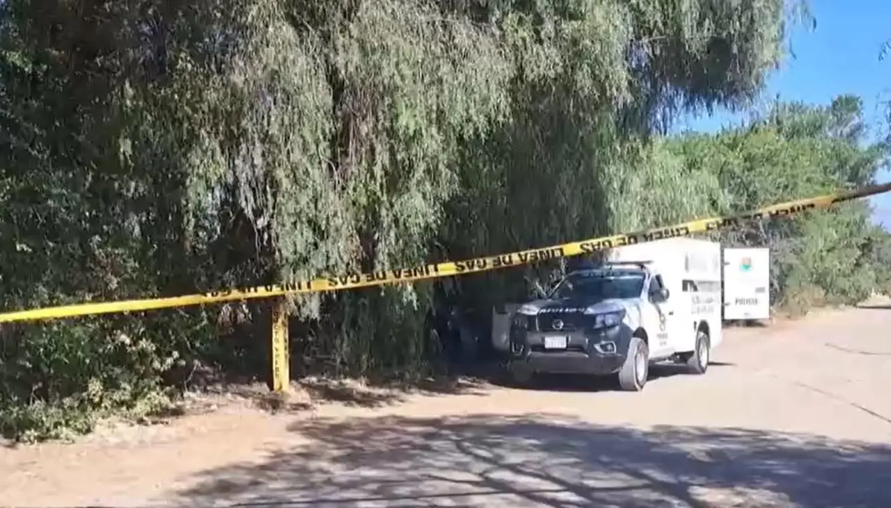 Hallan a una joven sin vida debajo de unos árboles en la zona sur de Cochabamba Hallan a una joven sin vida debajo de unos árboles en la zona sur de Cochabamba