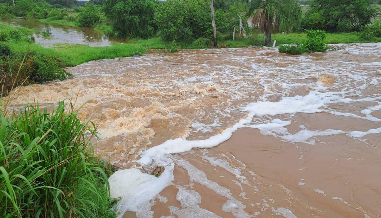 Colapsa dique en San Pedro y anega 3.000 hectáreas de soya; productores apuntan a avasalladores Colapsa dique en San Pedro y anega 3.000 hectáreas de soya; productores apuntan a avasalladores