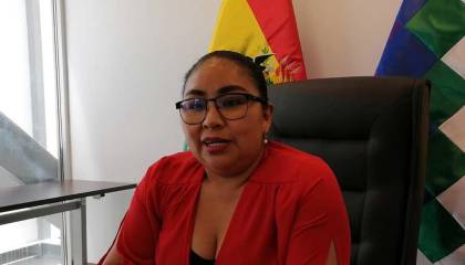 Diputada del MAS solicita a Huaytari reponer proyecto de ley de “fortalecimiento contra la lucha contra la legitimación de ganancias ilícitas”