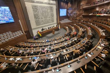 Diputada arcista pide retirar proyecto de ley contra legitimación de ganancias ilícitas