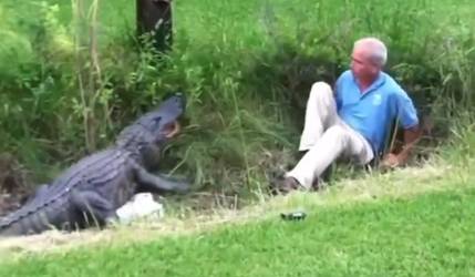 Hombre de la tercera edad fue mordido por un caimán en un campo de golf, un video mostró el feroz ataque