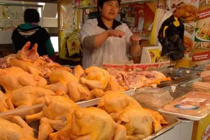 Vendedores reportan aumento en el precio del pollo en La Paz debido a la escasez de diésel Vendedores reportan aumento en el precio del pollo en La Paz debido a la escasez de diésel