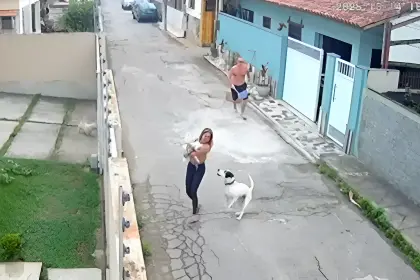 Imágenes fuertes: Perro ataca a una mujer, la tumba al piso y le muerde la cabeza  Imágenes fuertes: Perro ataca a una mujer, la tumba al piso y le muerde la cabeza
