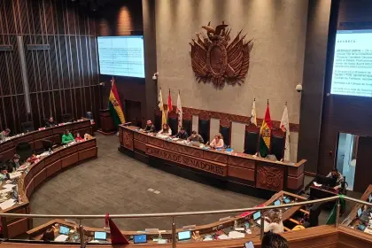 Senado sanciona cuatro créditos por más de $us 408 millones para infraestructuras y lo remite al Ejecutivo para su promulgación Senado sanciona cuatro créditos por más de $us 408 millones para infraestructuras y lo remite al Ejecutivo para su promulgación