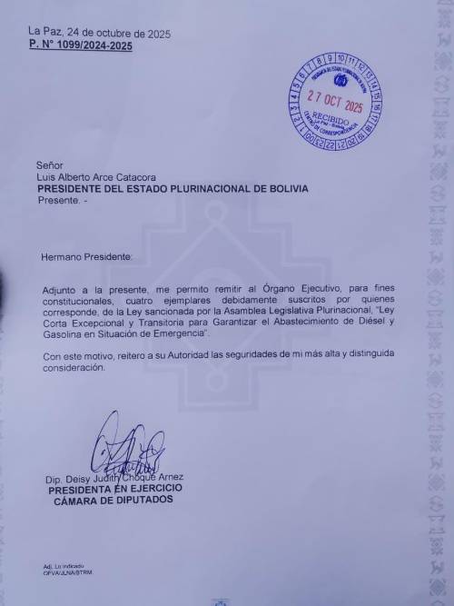 La carta firmada por la diputada Deisy Choque. La carta firmada por la diputada Deisy Choque.