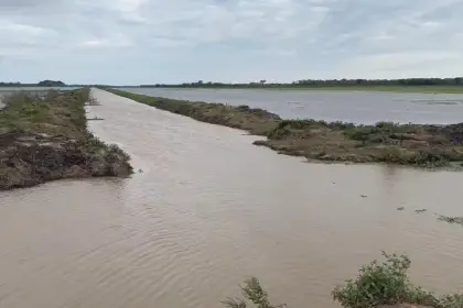 Inundaciones y falta de diésel ponen en jaque la siembra arrocera en Beni Inundaciones y falta de diésel ponen en jaque la siembra arrocera en Beni