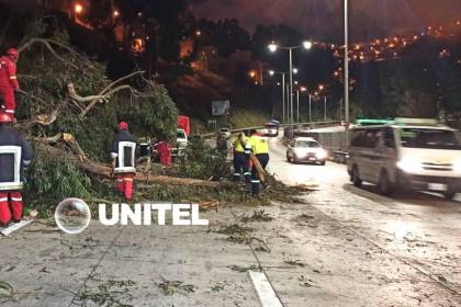 Caída de árbol en la autopista de La Paz moviliza a Bomberos y alarma a los conductores