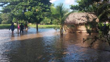 Más de 400 familias están bajo el agua por el desborde del río Ichilo