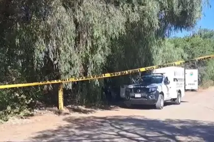 Hallan a una joven sin vida debajo de unos árboles en la zona sur de Cochabamba Hallan a una joven sin vida debajo de unos árboles en la zona sur de Cochabamba
