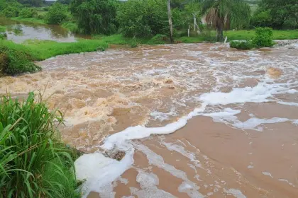 Colapsa dique en San Pedro y anega 3.000 hectáreas de soya; productores apuntan a avasalladores Colapsa dique en San Pedro y anega 3.000 hectáreas de soya; productores apuntan a avasalladores