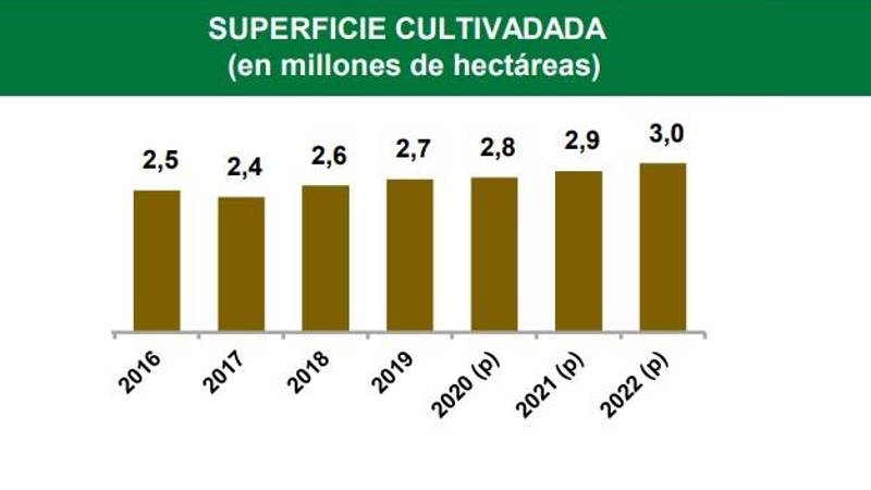 Fuente: IBCE Fuente: IBCE