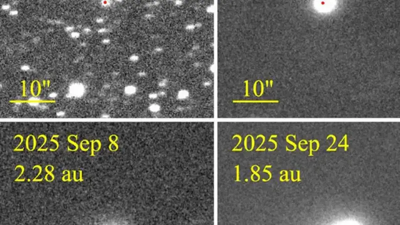 El cometa mostró un comportamiento peculiar en su cola. El cometa mostró un comportamiento peculiar en su cola.