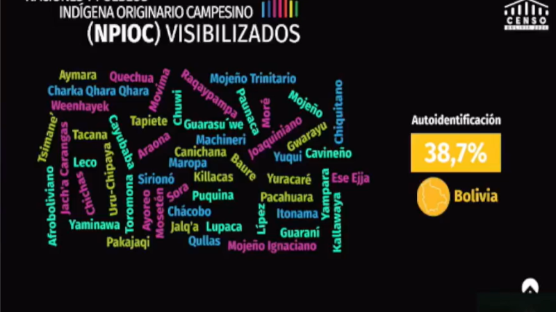 La gráfica que presentó el INE sobre las naciones indígenas. La gráfica que presentó el INE sobre las naciones indígenas.