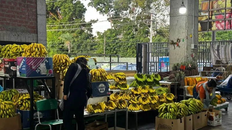 Escasean algunos productos y se elevan su precio. Escasean algunos productos y se elevan su precio.