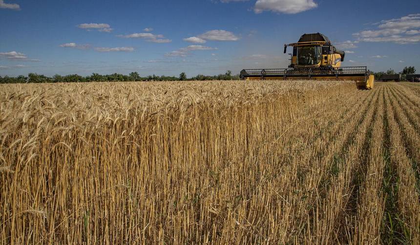 El precio del trigo se dispara y alcanza su cotización más alta desde agosto de 2023