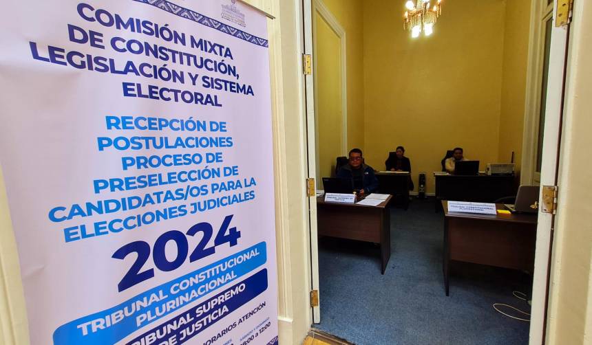 Elecciones Judiciales: viceministra Alcón dice que el Gobierno no está detrás de los amparos constitucionales