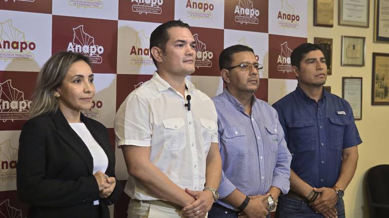 Los miembros del nuevo directorio de Anapo juraron la tarde de este miércoles Los miembros del nuevo directorio de Anapo juraron la tarde de este miércoles