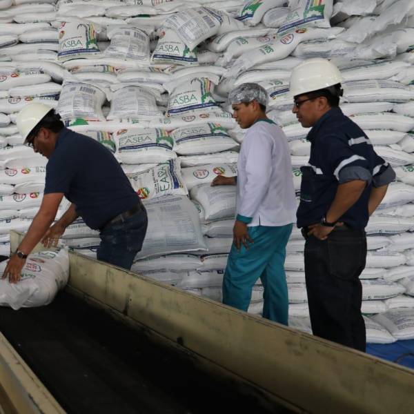 Ingenios proyectan aumentar volumen de exportaciones y garantizan abastecimiento interno