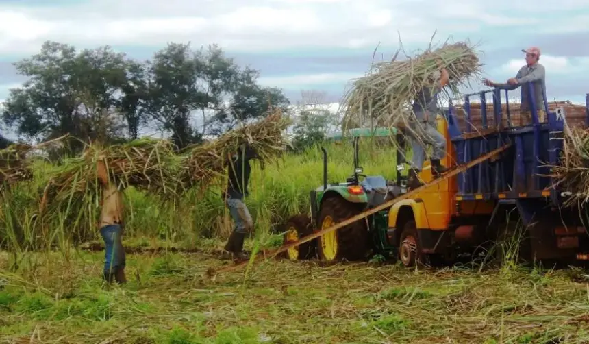 Falta de diésel: CAO alerta “deterioro” en las cadenas productivas; Desarrollo Rural e Hidrocarburos buscan soluciones