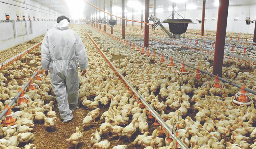 Gobierno dice que acordó con pecuarios mesas técnicas para abordar abastecimiento de alimentos y costos de producción