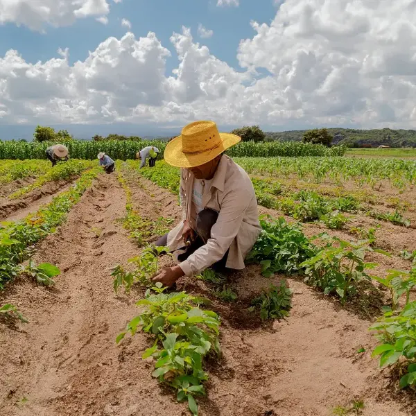 Confeagro pide a Rodrigo Paz promulgar la ley que permite convertir pequeña propiedad en mediana