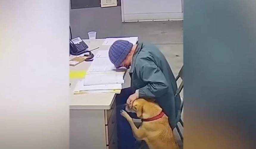 ¡Conmovedor! Mujer de 76 años se despide entre lágrimas de su perro tras ocho años juntos