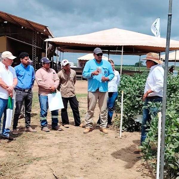 Debido a factores climatológicos, postergan la Exposoya 2026 para marzo