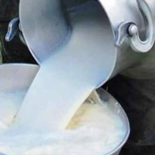 Fedeple dice que si no se soluciona el tema del diésel, “cerrará planta de alimentos que otorga el 78% de balanceado a propiedades productoras de leche”