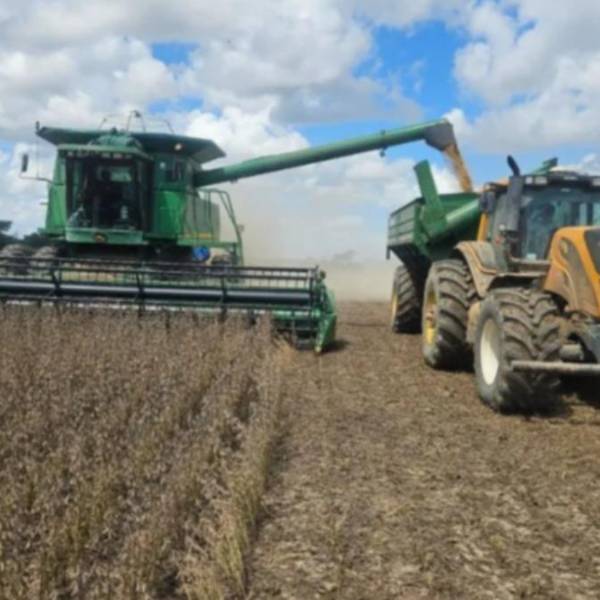 Anapo exige que se identifique y se juzgue a “cabecillas” de una red criminal de robo de soya en la zona norte de Santa Cruz