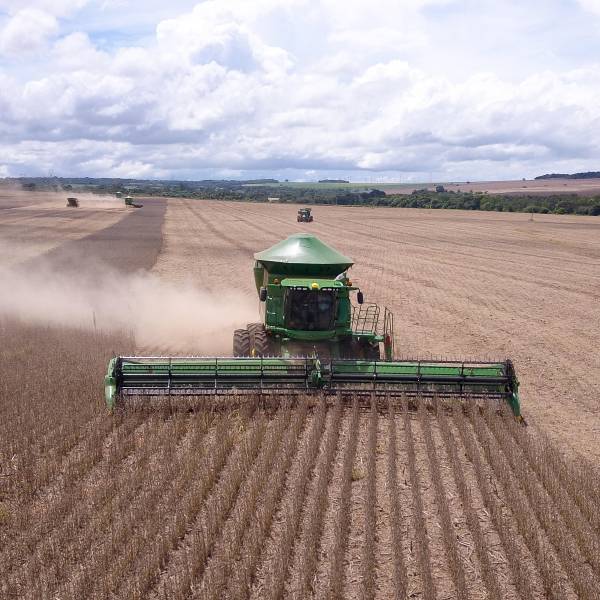 Agro prevé sembrar 1,2 millones de hectáreas en invierno y espera reglas claras del Gobierno para estimular la producción