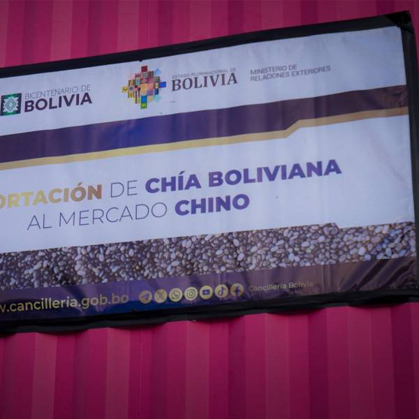 Bolivia inicia exportación de chía a China y confirman mercado para el sorgo 