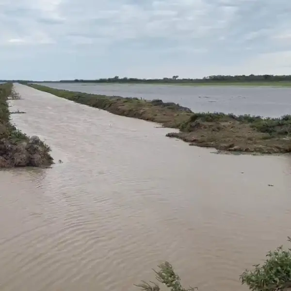 Inundaciones y falta de diésel ponen en jaque la siembra arrocera en Beni