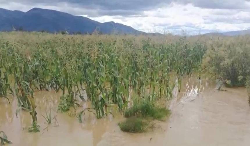 Las lluvias han afectado caminos y varios cultivos de los municipios de Tarata y Arbieto