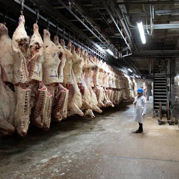 Canciller de Chile dice que la carne boliviana no solo puede llegar a su país, sino al resto del mundo