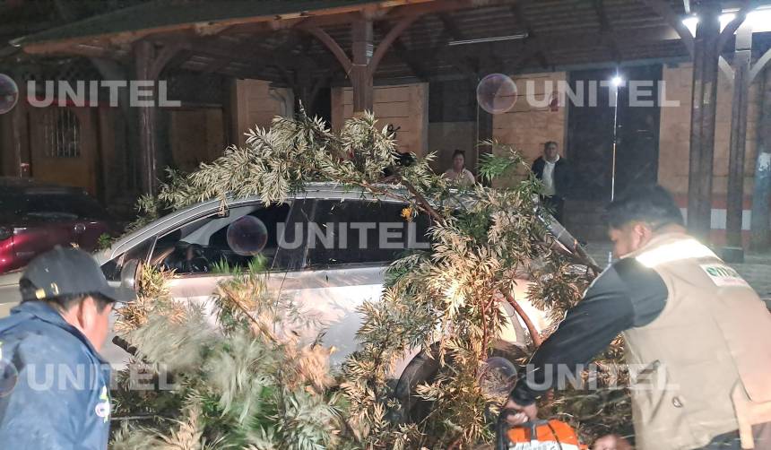 Vientos derriban al menos 17 árboles, dos letreros y ramas en la ciudad de Cochabamba