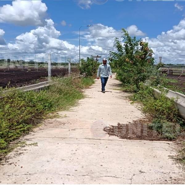 Corrales sin ganado y con malezas, así luce el centro de confinamiento del Gobierno en Santa Cruz, denuncian empresarios