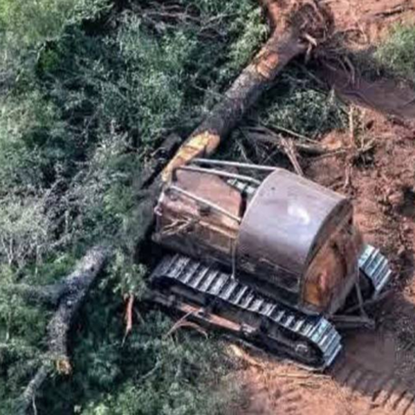 Desde el sector productivo se plantean la “autodefensa” contra avasallamientos ante la “ausencia de justicia”