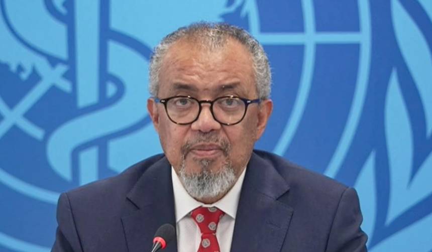 Alerta: OMS confirma cinco casos de hantavirus