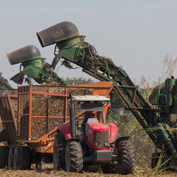 Pese a la crisis y los factores climáticos, Santa Cruz es la región que más aporta a la economía de Bolivia
