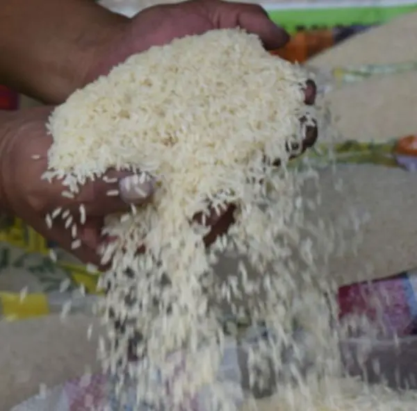 Productores piden reunión al Gobierno ante “creciente ingreso ilegal de arroz al mercado nacional” 