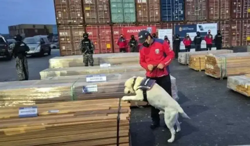 IBCE sobre madera retenida: “Chile está quemando la evidencia de nuestra inocencia”