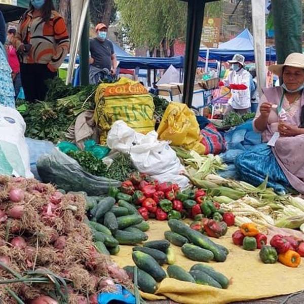 Caída histórica del PIB: Bolivia no registraba decrecimiento en su economía desde hace 39 años