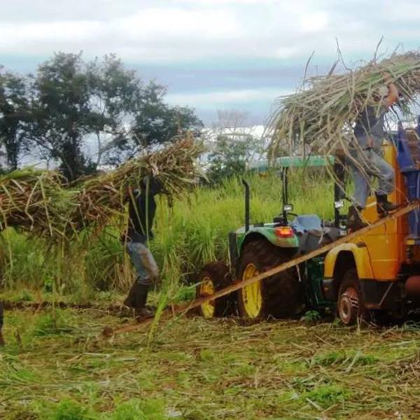 Falta de diésel: CAO alerta “deterioro” en las cadenas productivas; Desarrollo Rural e Hidrocarburos buscan soluciones